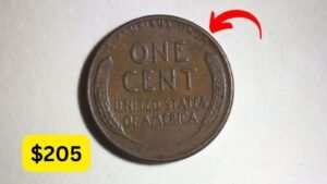 The Lincoln Wheat Penny Valued at $205